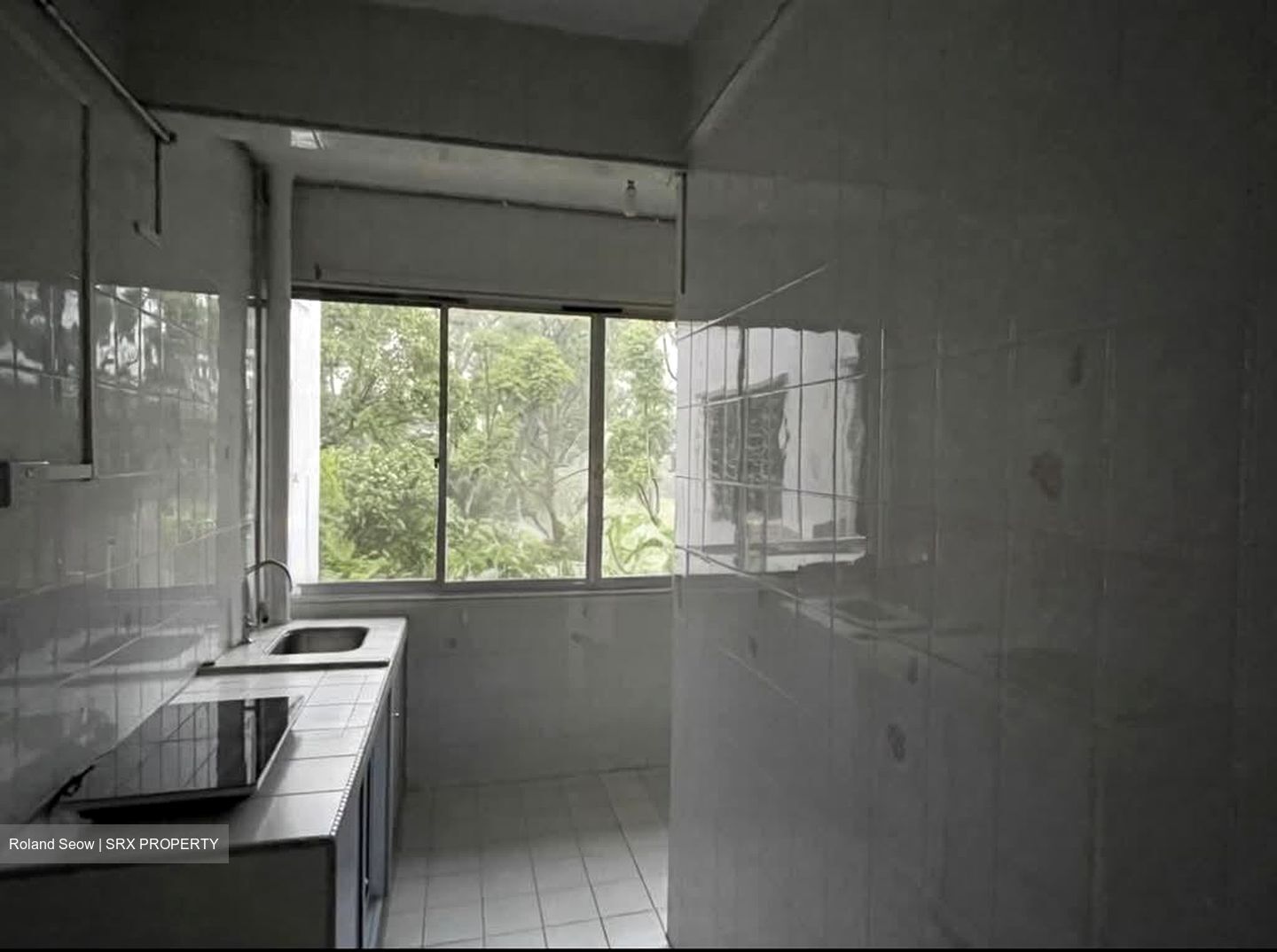 Botanic Gardens Mansion (D10), Apartment #586653361